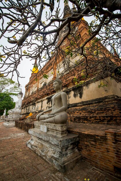 Piękny widok na świątynię Wat Yai Chai Mongkhol w Ayutthaya Tajlandia