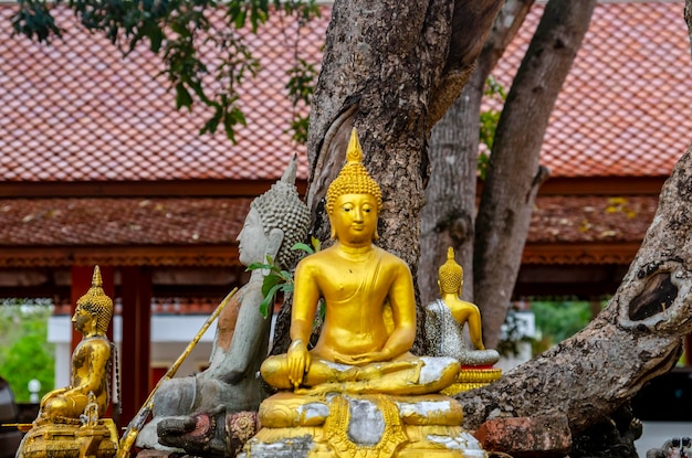 Piękny widok na świątynię Wat Yai Chai Mongkhon znajdującą się w Ayutthaya Tajlandia