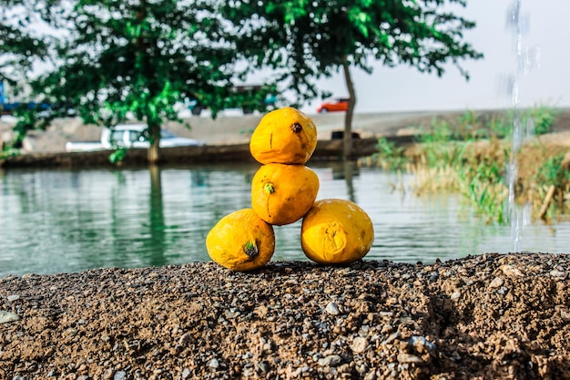 Zdjęcie piękny widok na trzy mango z miejscem wodnym