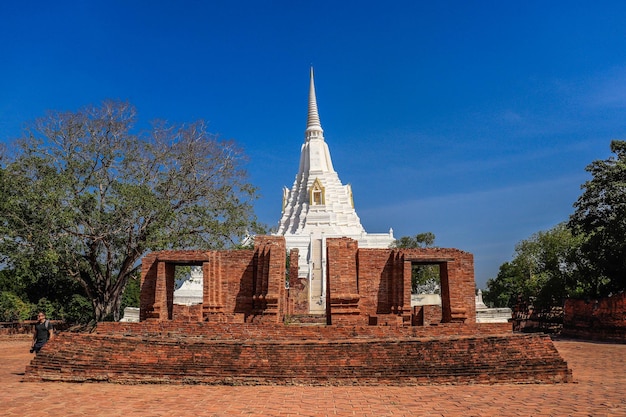 Piękny widok na Wat Phu Khao Thong Białą Świątynię znajdującą się w Ayutthaya Tajlandia