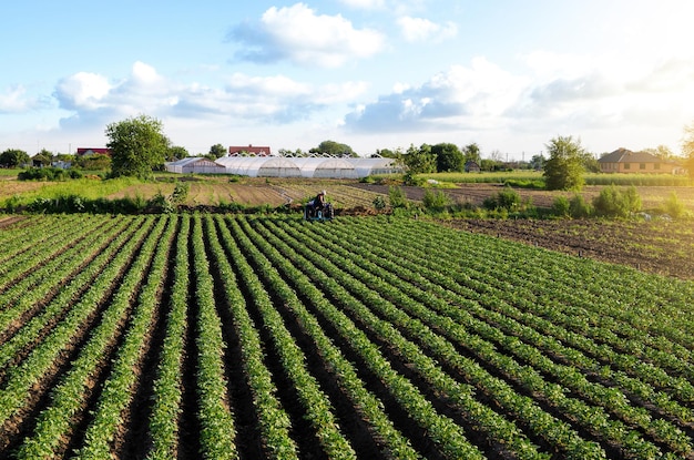 Piękny widok na wiejski krajobraz pól ziemniaczanych południowej Ukrainy Rolnik na traktorze uprawia plantację ziemniaków Rolnictwo i agrobiznes Rolnictwo i przemysł rolniczy
