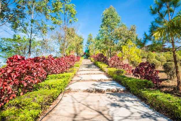 Piękny widok na winnicę w Inle Lake Myanmar