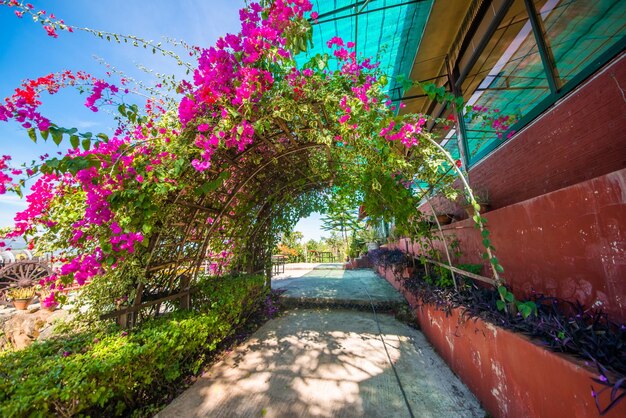 Zdjęcie piękny widok na winnicę w inle lake myanmar