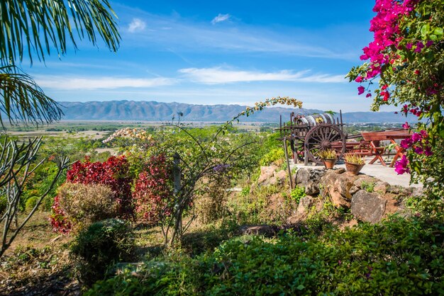 Piękny widok na winnicę w Inle Lake Myanmar