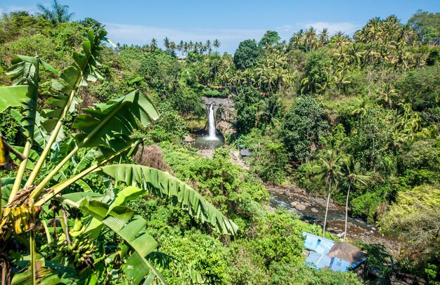 Piękny widok na wodospad Tegenungan na Bali w Indonezji