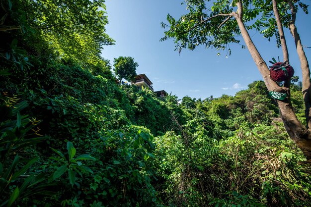 Piękny widok na wodospad Tegenungan na Bali w Indonezji