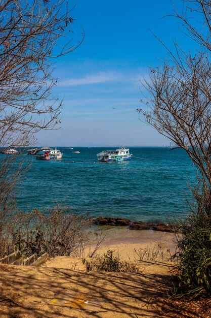 Piękny widok na wyspę Koh Larn w Tajlandii