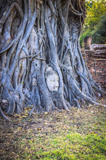 Piękny widok panoramiczny na Ayutthaya w Tajlandii