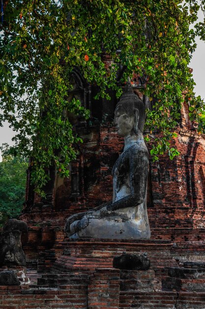 Piękny widok panoramiczny na Ayutthaya w Tajlandii