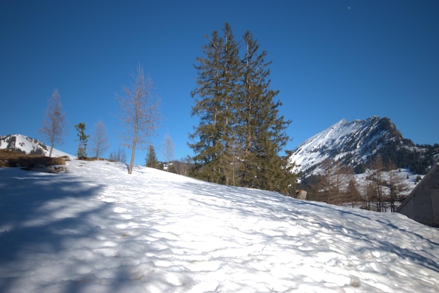Piękny widok pokrytych śniegiem gór na tle jasnego niebieskiego nieba