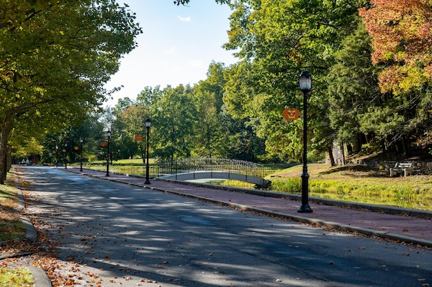 Zdjęcie piękny widok przyrody z dużymi drzewami w forest park springfield massachusetts