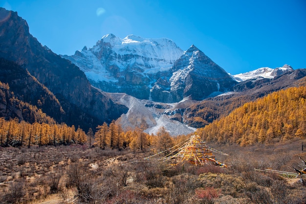 Piękny widok śniegu szczyt z jesień liśćmi w yading rezerwacie przyrody, Sichuan, Chiny.