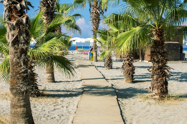 Piękny widok tropikalnej plaży morskiej kurortu na letnie wakacje Plaża w Alanya Turcja Letnie wakacje