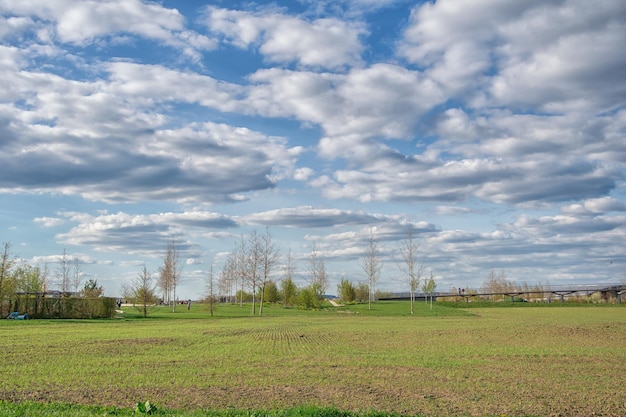 Piękny widok w parku błękitne niebo z chmurami letni słoneczny dzień w przyrodzie Ingolstadt