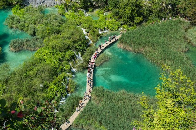 Piękny widok w Parku Narodowym Jezior Plitwickich w Chorwacji