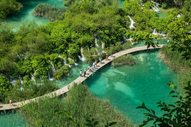 Piękny widok w Parku Narodowym Jezior Plitwickich w Chorwacji