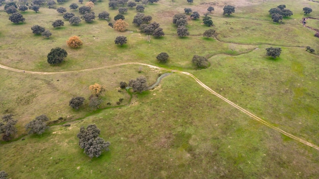 Piękny widok z lotu ptaka coutryside