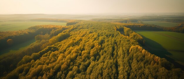 Piękny widok z lotu ptaka na las deszczowyWidok z lotu ptaka Panoramiczne ujęcie Generacyjna sztuczna inteligencja