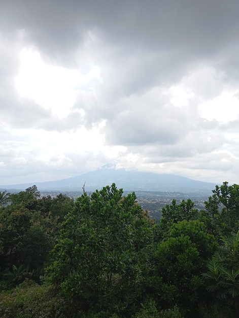 Zdjęcie piękny widok z mgłą na górę salak puncak bogor indonezja