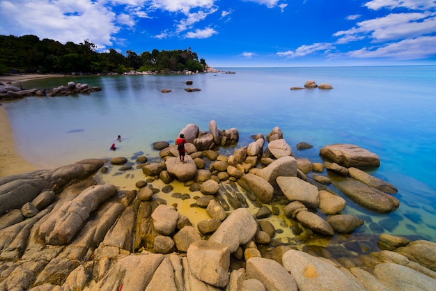 piękny widok z palmami kokosowymi wzdłuż plaży na wyspie Bintan