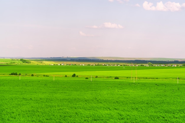 Piękny widok Zielona łąka i domy dalej