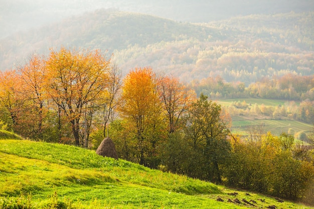 Piękny wiejski jesienny krajobraz w górach