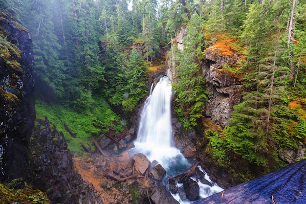 Piękny wodospad na wyspie Vancouver w Kanadzie