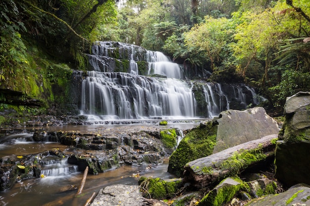 Piękny wodospad w zielonym lesie deszczowym, Nowa Zelandia