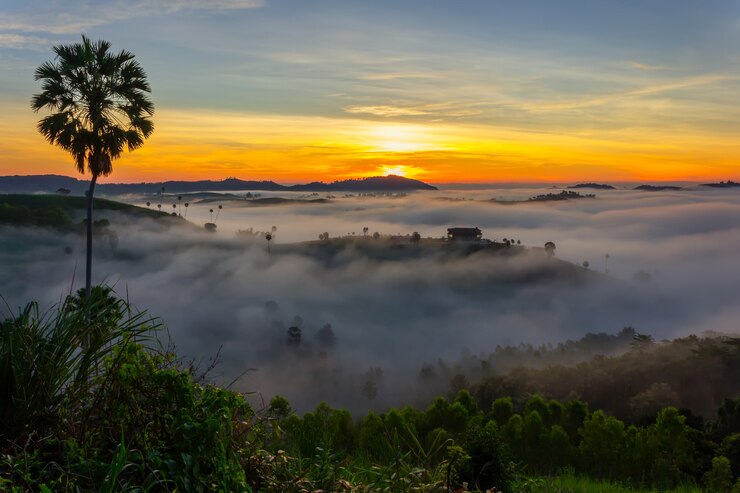 Zdjęcie piękny wschód słońca i mgła przy khao kho, phetchabun prowincja, tajlandia.