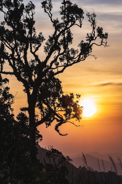 Piękny Wschód Słońca Na Górze Khao Khao Chang Phueak Najwyższa Góra Parku Narodowego Thong Pha Phum Znana Jest Jako Khao Chang Phueak