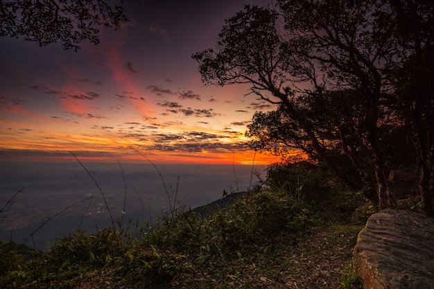 Piękny wschód słońca na Phu Luang przyrody sanktuarium, Loei prowincja, Tajlandia.