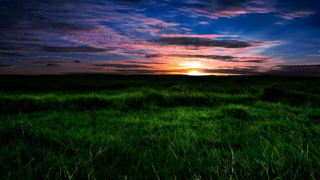 Piękny Wschód Słońca Nad łąką