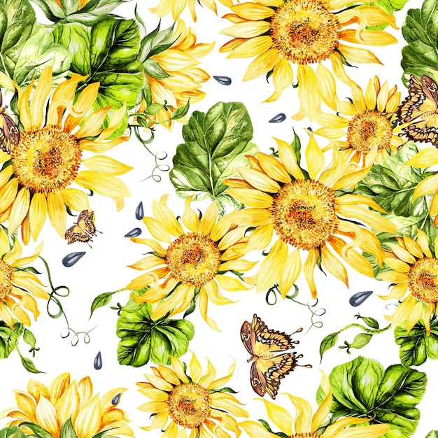 Piękny wzór akwarela ze słonecznika i liści. Ilustracja
