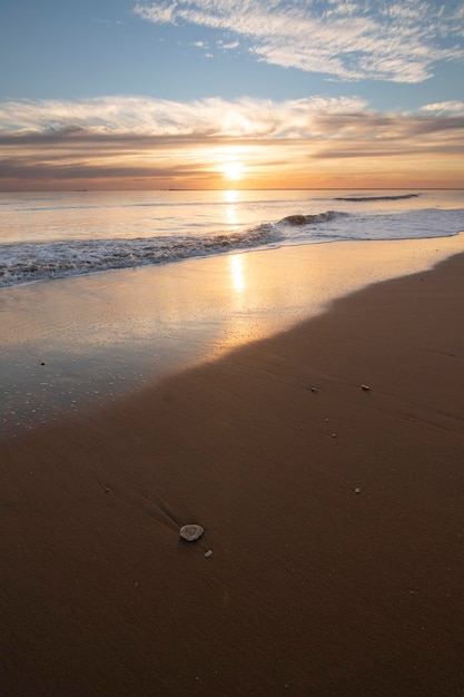 Piękny zachód słońca na plaży Mazagón Hiszpania Na brzegu kilka muszelek