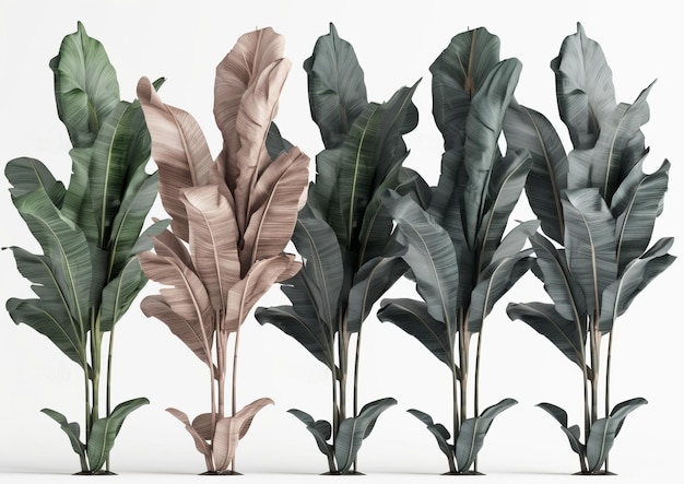 Piękny zestaw roślin liściastych bananów 3D z drzewami, idealny do projektów