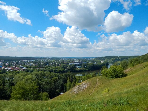 Piękny zielony krajobraz z drzewami