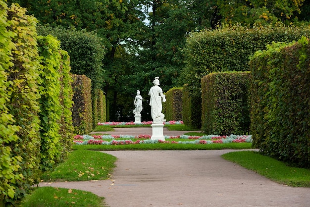 Piękny zielony park latem ścina drzewa i ścieżkę