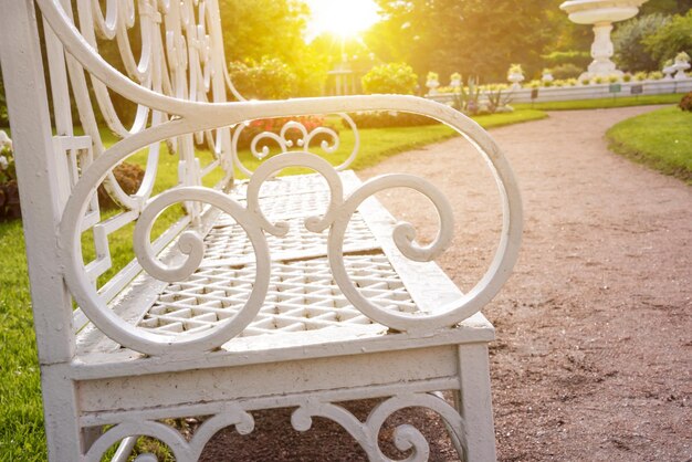 Piękny zielony park latem ścina drzewa i ścieżkę