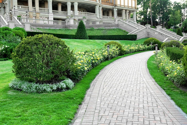 Piękny zielony park w letni dzień