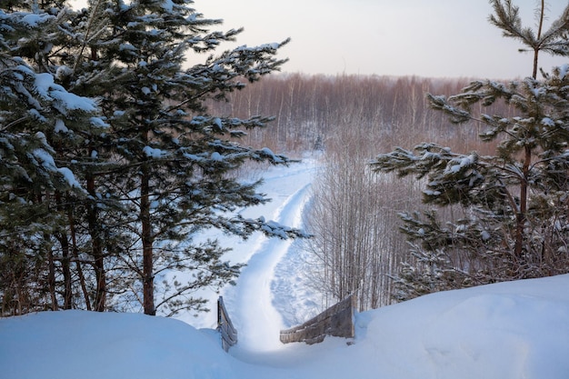 Piękny zimowy krajobraz o wschodzie lub zachodzie słońca. Śnieżna zjeżdżalnia do jazdy na nartach wśród śnieżnych drzew.