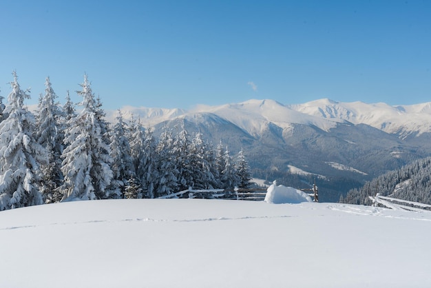 Piękny zimowy krajobraz przyrody, niesamowity widok na góry. Malowniczy obraz lasu. Mroźny dzień w ośrodku narciarskim. Karpaty, Ukraina. Wspaniałe zimowe tapety.