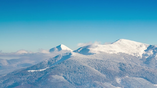Piękny zimowy krajobraz z pokrytymi śniegiem drzewami Zimowe góry