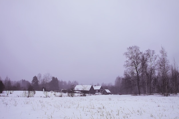 Piękny zimowy krajobraz z wiejskimi budynkami i drzewami w śniegu.