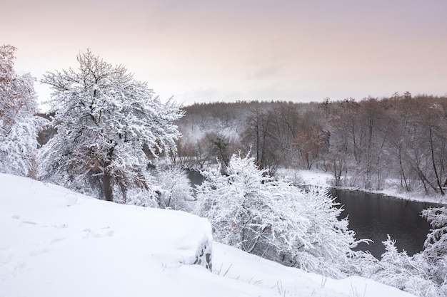 Piękny zimowy śnieżny krajobraz w parku