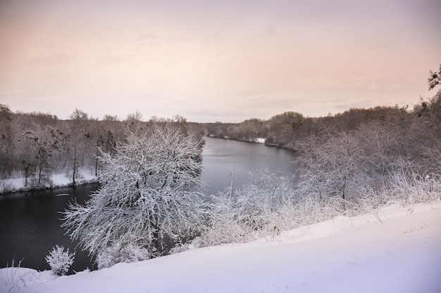 Piękny Zimowy śnieżny Krajobraz W Parku