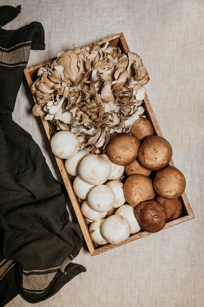 Pień fotografia widoku z góry na pudełko pełne grzybów, Shiitake, kurze z lasu, na szarym stole i obrusie.