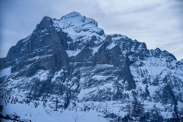 Pierwsza góra w Grindelwald z alpejskimi widokami Szwajcaria