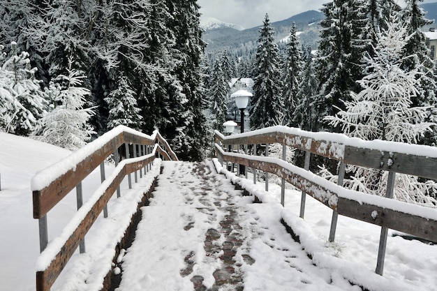 Pierwszy śnieg, początek zimy, ślady stóp na śniegu.