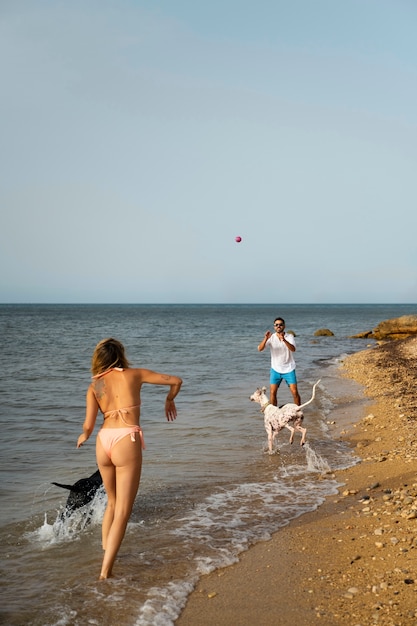 Pies bawi się na plaży