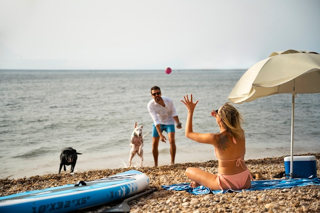 Zdjęcie pies bawi się na plaży